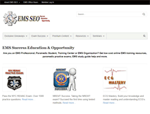 Tablet Screenshot of emsseo.com